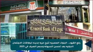 رفع القيود.. البنوك المصرية تتيح حرية جديدة لبطاقات الائتمان الدولية بعد تحسن السيولة وسعر الصرف في 2025